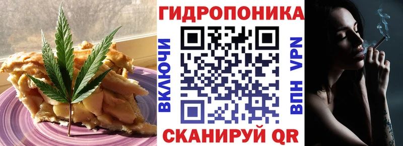 где купить наркоту  ОМГ ОМГ зеркало  Canna-Cookies конопля  Аргун 
