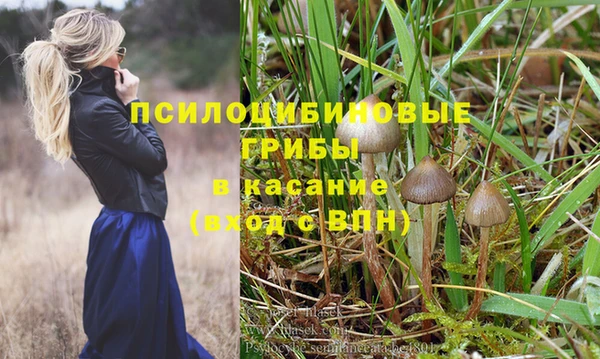 экстази Алексин