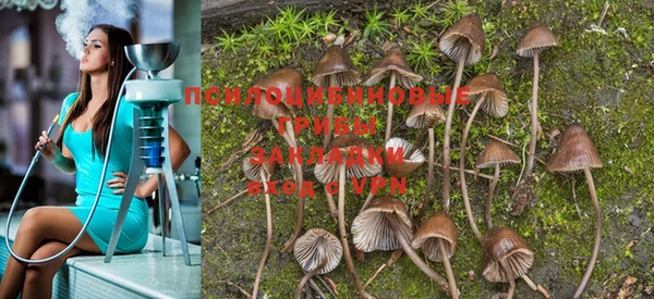 PSILOCYBIN Саяногорск