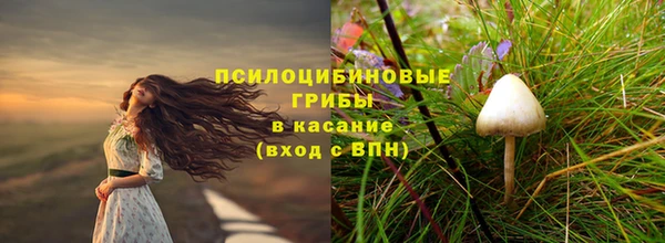 экстази Алексин