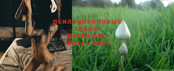 экстази Алексин