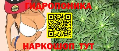 синтетический гашиш Апшеронск
