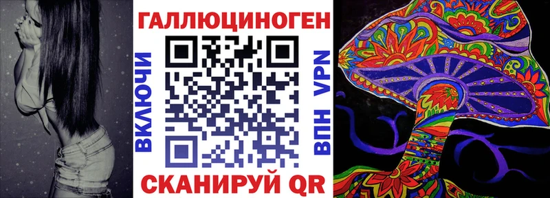 где продают   Аргун  Галлюциногенные грибы Cubensis 