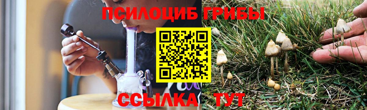 купить закладку  Псилоцибиновые грибы Magic Shrooms  Аргун  Вход с VPN  Галлюциногенные грибы Cubensis 
