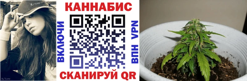 Каннабис VHQ  купить   Аргун 