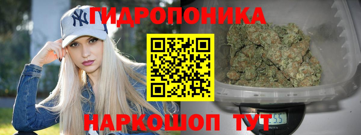 Конопля план  Шишки марихуана OG Kush  Аргун  Вход с VPN 